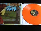 DEATH IS NOT GLAMOROUS LP sXe shook ones lifetime kid dynamite anchor