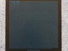 Shellac - The Futurist/Friends Only LP Rare