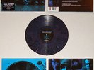 FALL OUT BOY Take This to Your Grave LP MIX COLOR VINYL Panic at the Disco Finch