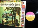 CLEAN 1967 Orig BUFFALO SPRINGFIELD   AGAIN   YOUNG STILLS + 