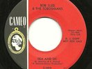 Surf BOB SLED & TOBOGGANS Sea and Ski 45 CAMEO Instro BRUCE JOHNSTON Promo 1963