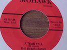 The Demensions A Tear Fell 45 Doo Wop Mint-*Listen