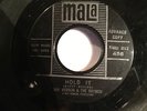 GARAGE ROCKER 45/ RAY VERNON & THE RAYMEN 