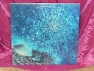 LOVE OUT HERE LP ACID PSYCH ARTHUR LEE EXCELLENT-
