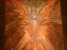 CYNIC - Focus LP 1993  1st Press progressive death metal Roadrunner