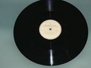 Quarrymen ( The Beatles ) In spite of all the danger / That'll be the day
