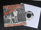 IAN DURY SWEET GENE VINCENT  GERMAN PIC SLEEVE     RARE PUNK
