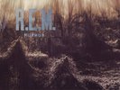 R.E.M. Murmur SEALED IRS 1980s press Radio Free Europe