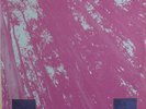 Desire Tuxedomoon 80s Vinyl 12