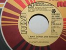 Alan Gordon Extragordonary Band 45 