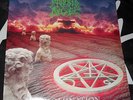 MORBID ANGEL - Domination LP 1st press 1995  Terrorizer Deicide Suffocation