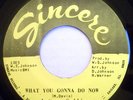 NORTHERN FUNK 45-LASHAWN COLLINS-WHAT YOU GONNA DO NOW