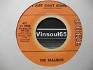 *listen* POUNDING 60s NORTHERN The Malibus 