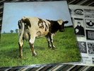 PINK FLOYD Atom heart mother LP 1*UK Press  Harvest NO EMI LOGO 1970 Prog