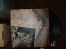 American Nightmare-backround music  cold cave some girls wes eisold