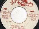 Nairobi Sisters - Promised Land - Original Press Gay Feet Funk Breaks 7 Inch
