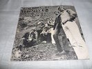RARE- Psych Garage 45 w/Pic Sleeve -The Millennium-