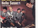 Didi And His ABS-Boys - Hello Susann / Das ist Musik - Telefunken U 55 793