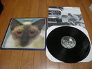 BLINK-182 /CHESHIRE CAT org LP freeSHIPPING 10 New Found Glory Sum 41 Green Day
