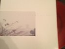 WILD NOTHING Golden Haze EP LTD red vinyl rare