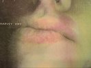 P J Harvey 11 TR LP .Dry  +Inner Too Pure PURE 10 , 1992