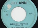 THE SOUNDS LIKE US - CLOCK ON THE WALL*OUTSIDE CHANCE 1966 US JILL ANN LISTEN
