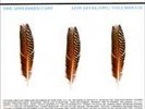 Appleseed Cast Low Level Owl 3 LP Gold Vinyl Like New Casket Lottery