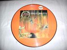 Slayer Hell Awaits Picture LP numbered Pic Vinyl (Metallica Anthrax Celtic Frost