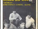 The Swinging Blue Jeans   Sweden 45rpm  Tremblin'    EX Condition