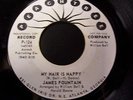 James Fountain - My Hair Is Nappy/Burning up for your love 45 RARE Soul Funk