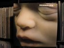Rammstein - Mutter - Vinyl - Orginal