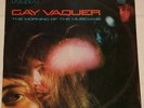 GAY VAQUER THE MORNING OF THE MUSICIANS LP BRAZIL PSYCH FUNK ORIGINAL RCA RARE