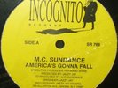 SEALED* M.C. Sundance - America's Gonna Fall *RANDOM RAP* Scarce 90's