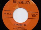 DOOWOP R&B--TAMANEERS--
