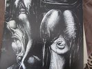 the Shiver- Walpirgris  reissue    psych  garage