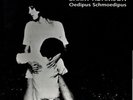 Barry Adamson Oedipus Schmoedipus RARE 12