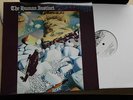 HUMAN INSTINCT / STONED GUITAR / LP VINYL / 1000 COPIES / UNPLAYED MINT
