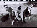 Beastie Boys - Check Your Head Vinyl Gatefold.  Autographed