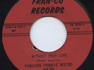 Fabulous Frankie Nestro 45 Fran-Co Records Private Teen Rock DooWop RARE LISTEN