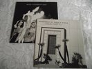 Hole – Celebrity Skin 12” Vinyl LP (Nirvana, Foo Fighters, Babes In Toyland)