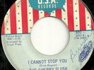 GARAGE PSYCHE ROCK 45 by THE CHERRY SLUSH HEAR IT