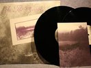 In The Woods - Heart of the ages  2 x Vinyl Lp  First Press RAR