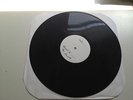 PIEBALD-We Are The Only Friends We Have LP  Test Pressing