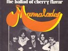 THE MARMALADE - RAINBOW - THE BALLAD OF CHERRY FLAVAR - ITALIAN SP 1970