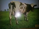 LP VINILO PINK FLOYD ATOM HEART MOTHER 1970