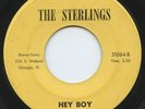 Rare R&B / Soul 45 - The Sterlings - Hey Boy - Stereo-Sonic # 31064 - LISTEN