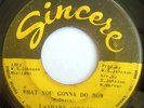 NORTHERN FUNK 45-LASHAWN COLLINS-WHAT YOU GONNA DO NOW