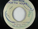 Reggae 45 PIONEERS Catch The Beat / Janan on JA blank VG++