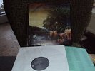 FLEETWOOD MAC TANGO IN THE NIGHT LP + INSERT MADE IN MEXICO BIG LOVE LITTLE LIES