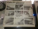 Rare Surf Psych Exotica Obscuro 2LP Dragon Bros FARM OST A SEA FOR YOURSELF